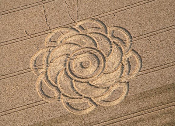 crop circle at Dankelshausen | July 21 2007