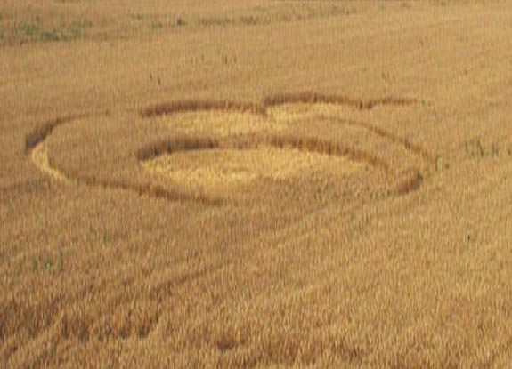 crop circle at Wernitz | July 21 2007