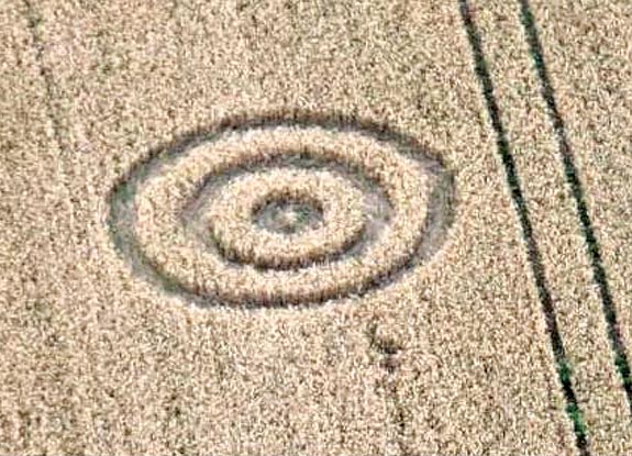 crop circle at Meensen | July 25 2007