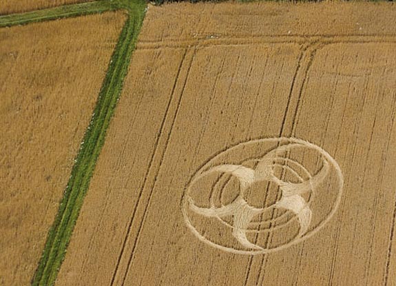 crop circle at Tapfheim | July 26 2007