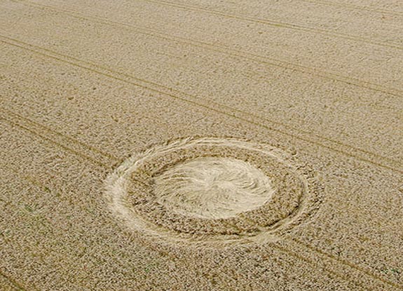 crop circle at Etchilhampton | July 31 2007