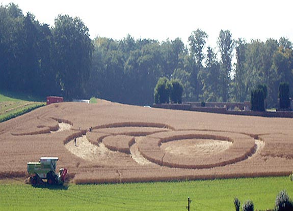 crop circle at Rochefort | August 04 2007