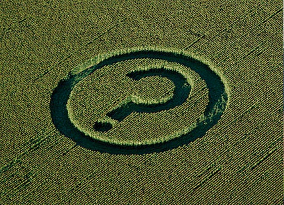 crop circle at Abbotsford | August 08 2007