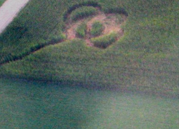 crop circle at Abbotsford | August 26 2007