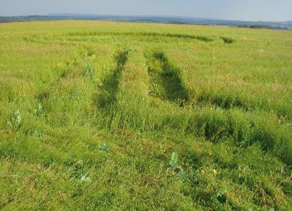 crop circle at North Down | August 19 2007