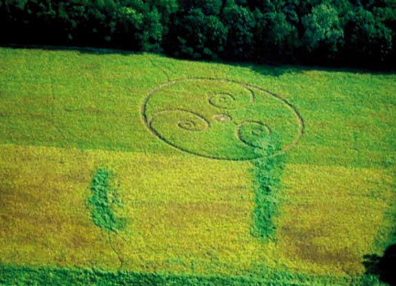 crop circle at Wayne County |  September 23 2007