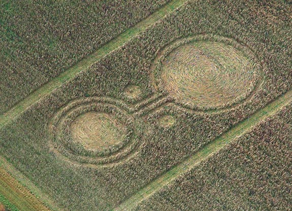 crop circle at Marlborough | November 15 2007