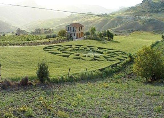 crop circle at Riesi | April 19 2008