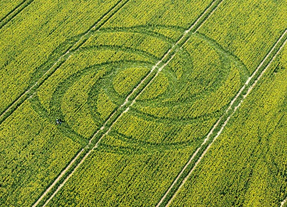 crop circle at Waden Hill | April 19 2008
