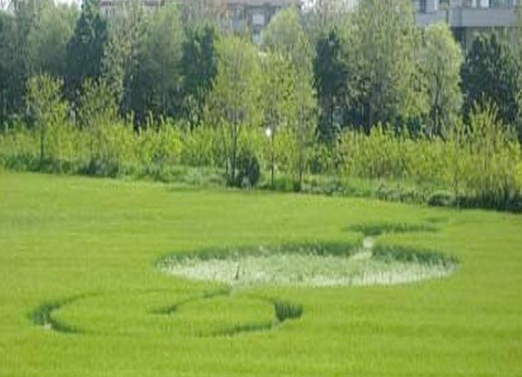 crop circle at Rho | April 19 2008