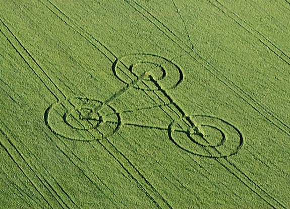 crop circle at Madisonville | May 06 2008