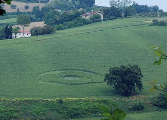 crop circle at Castel d'Emilio | May 13 2008