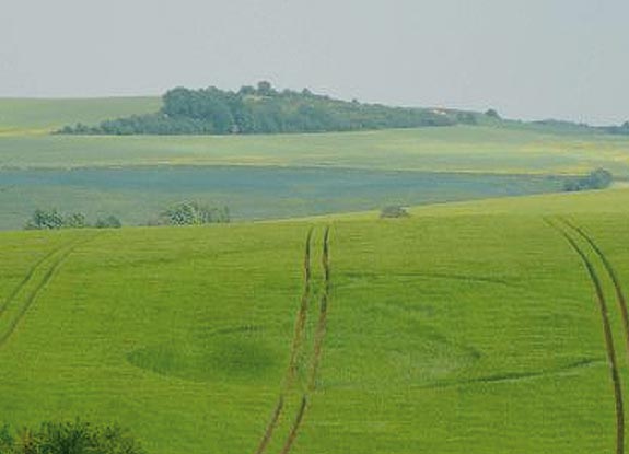 crop circle at Sailly-Achatel | May 17 2008