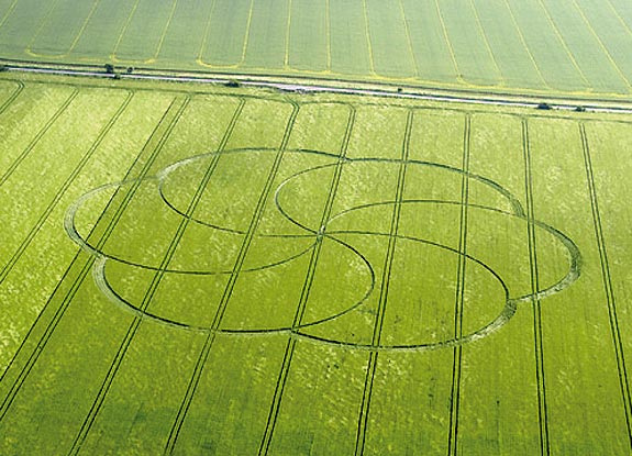 crop circle at Hackpen Hill | May 24 2008