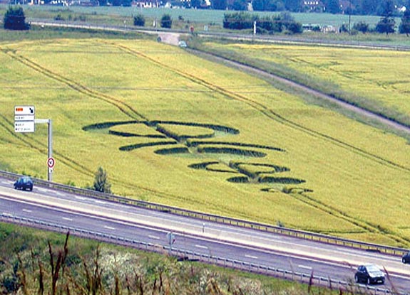 crop circle at Marly-le-Roi | June 07 2008