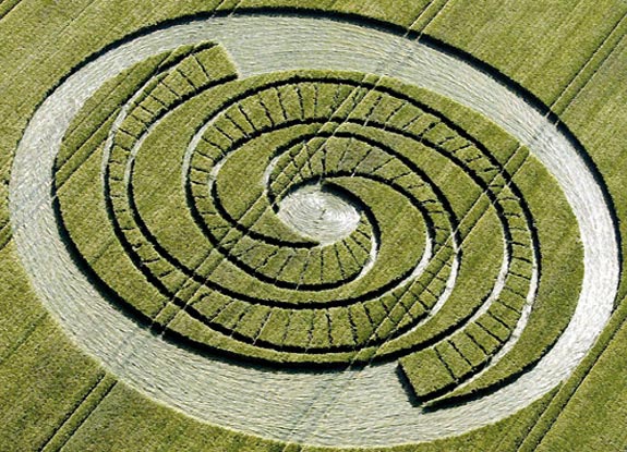 crop circle at West Kennett | June 09 2008