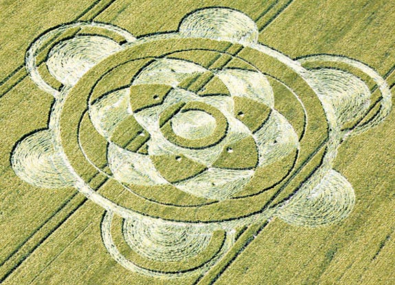 crop circle at North Down | June 10 2008