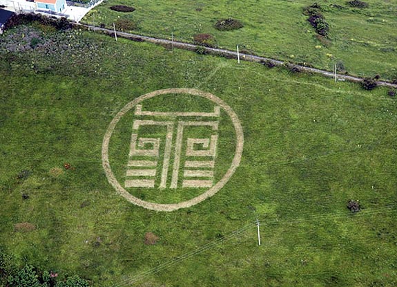 crop circle at Bilbao | June 12 2008