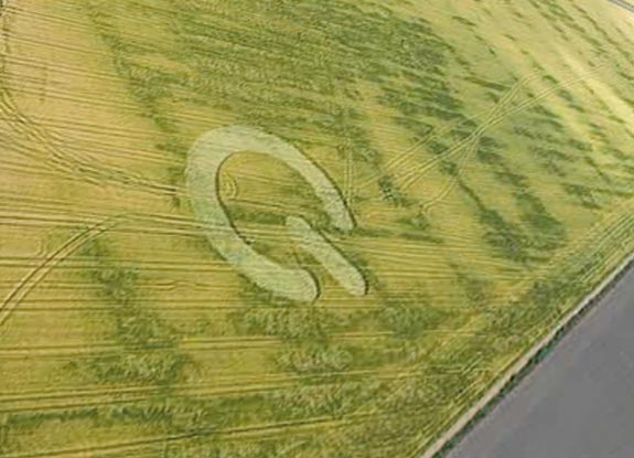 crop circle at Almere | June 15 2008