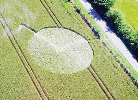 crop circle at Verdun-sur-le-Doubs | June 17 2008