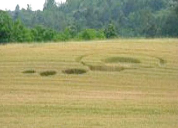 crop circle at Montaldo Roero | June 19 2008