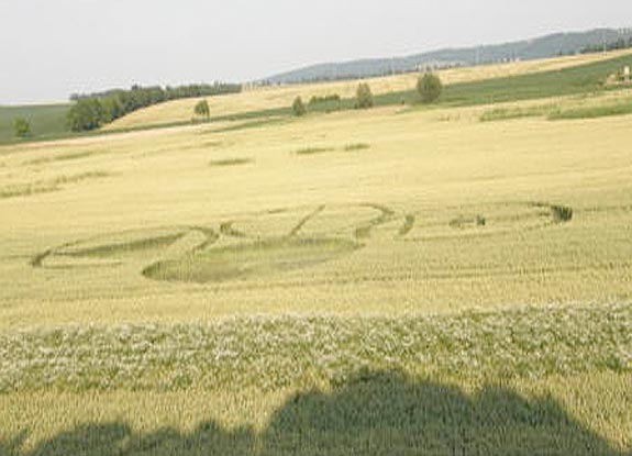 crop circle at Hul | June 20 2008