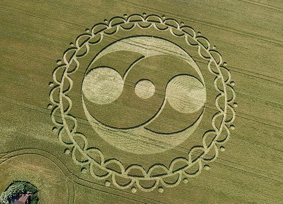 crop circle at Furze Knoll | June 20 2008