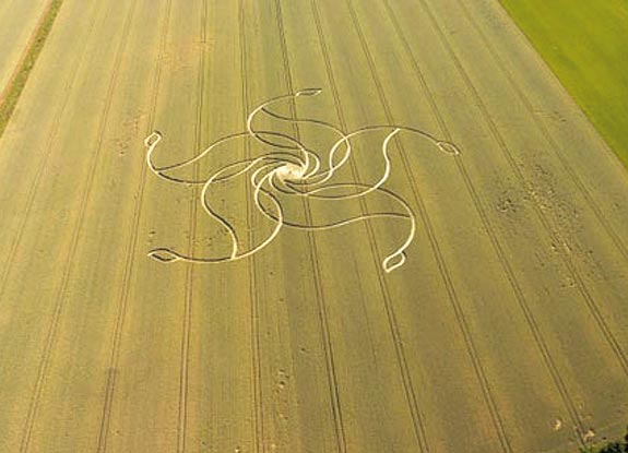 crop circle at Diessenhofen | June 21 2008