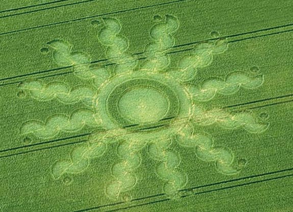 crop circle at Edendorf | June 23 2008