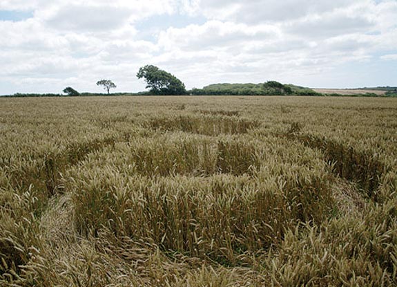 crop circle at Helston | June 25 2008