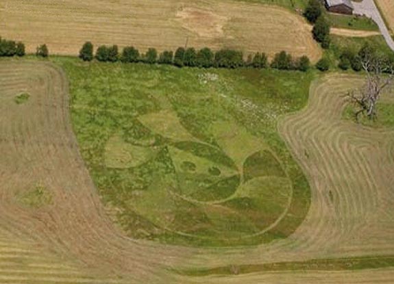 crop circle at Cowichan Valley | June 26 2008