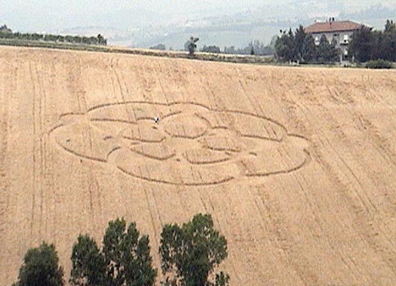 crop circle at Ancona | June 29 2008