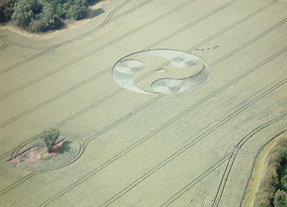 crop circle at Ansty | June 29 2008