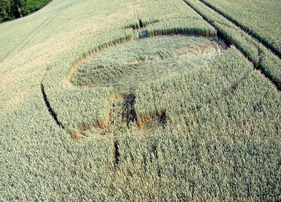 crop circle at Inowroclaw | June 30 2008