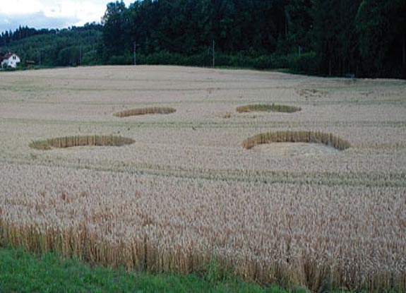 crop circle at Gütighausen | July 08 2008