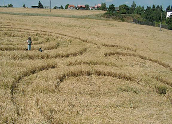crop circle at Pumlow | July 09 2008