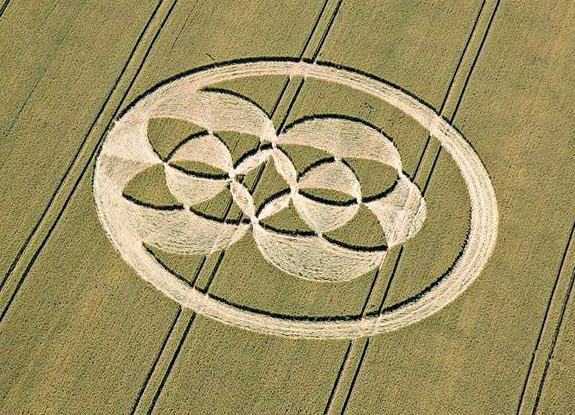 crop circle at Alton Barnes | July 09 2008