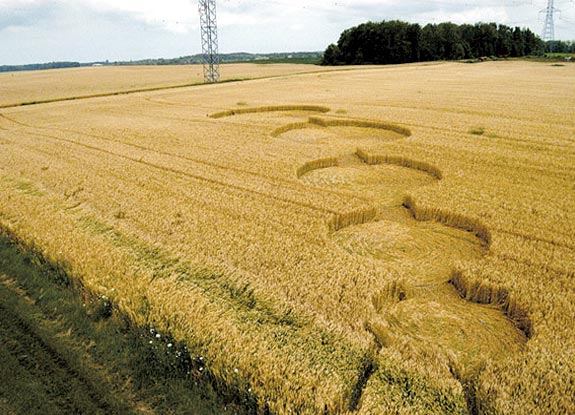 crop circle at Homesville | July 11 2008