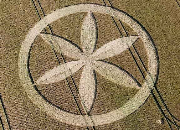 crop circle at Buckland | July 14 2008