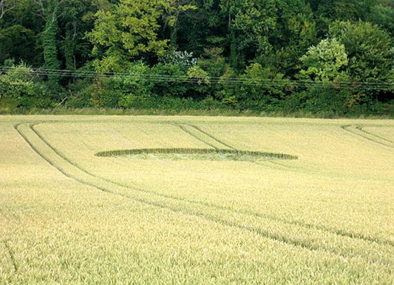 crop circle at Callow Hill | July 15 2008
