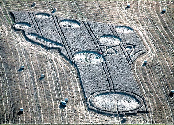 crop circle at Valence | July 22 2008