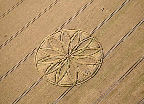 crop circle at Sieboldshausen | July 23 2008