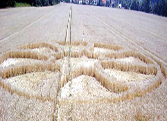 crop circle at Volkmarshausen | July 25 2008