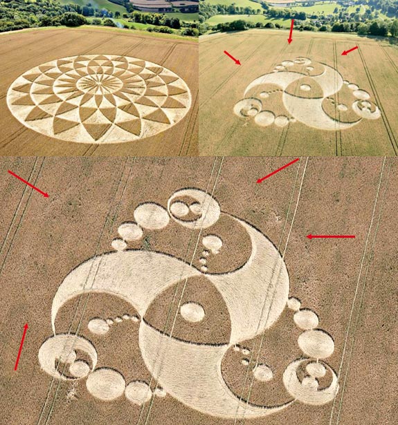 crop circle at Martinsell Hill | July 28 2008