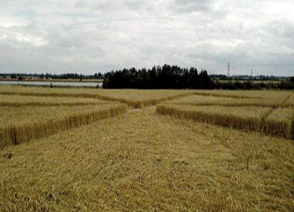 crop circle at Rochford | August 03 2008