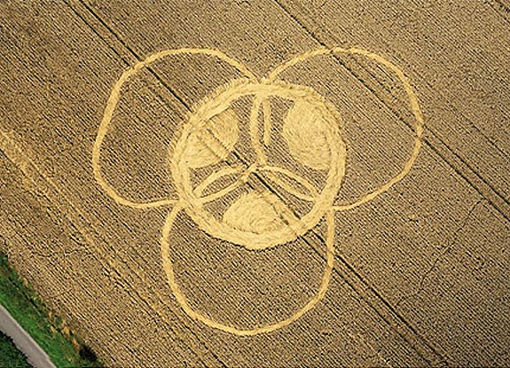 crop circle at Oare | August 06 2008