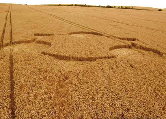 crop circle at Bishops Cannings | August 08 2008