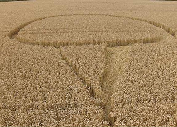 crop circle at Cherhill | August 12 2008