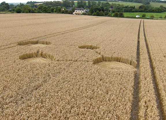 crop circle at Cherhill | August 12 2008