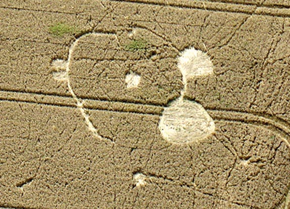 crop circle at Etchilhampton | August 15 2008